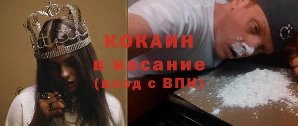 бошки Богородицк