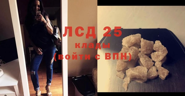 мдпв Бородино