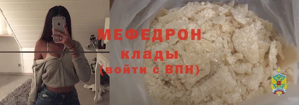 мдпв Бородино
