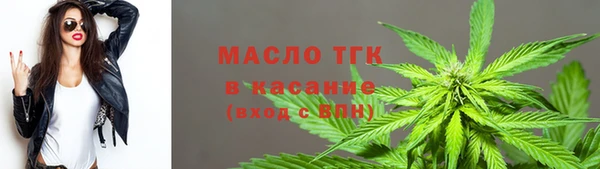 мдпв Бородино